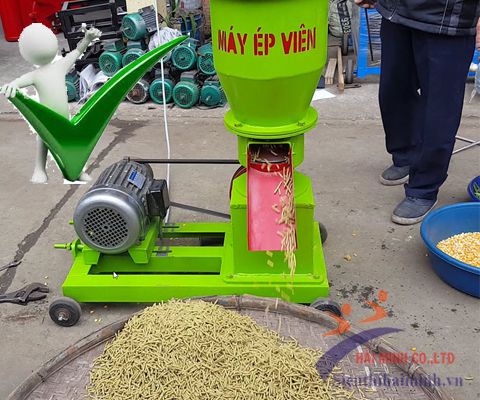 [Bí Quyết] Sử Dụng Máy Ép Cám Viên Giảm Thiểu Chi Phí Chăn Nuôi